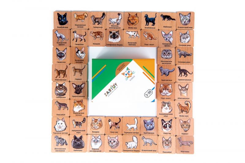 Мемори "Кошки" в картонной коробочке