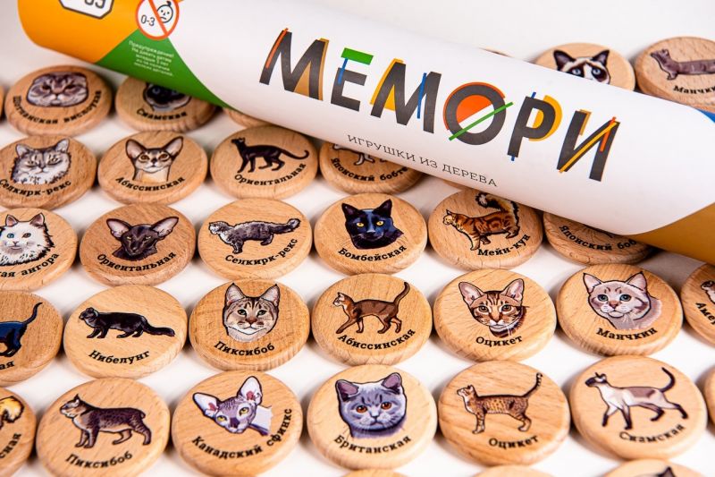 Мемори "Кошки" в тубусе