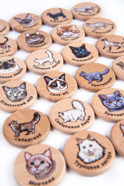 Мини-мемори "Кошки" в подарочном тубусе