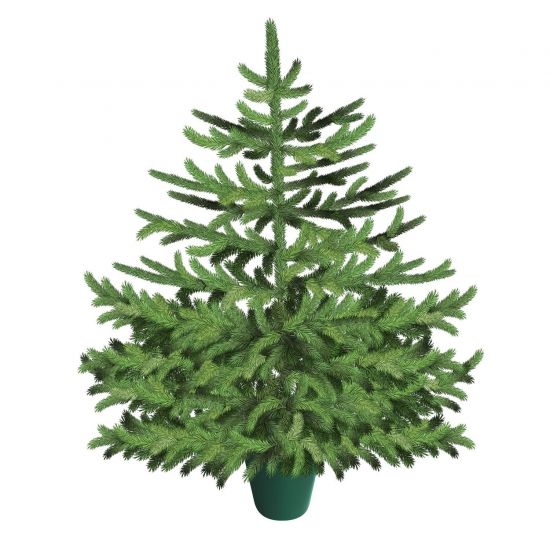 Самая компактная елка на ткани Bondibon с украшениями 120х160 см - BONDIBON