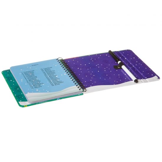 Развивающие игры под ёлку "РЕБУСЫ" многоразовые Bondibon - BONDIBON