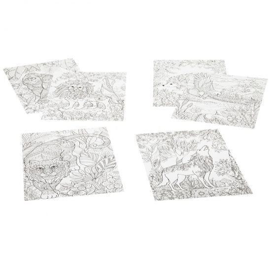 Раскраска-антистресс Bondibon " В лесу" 6 листов - BONDIBON