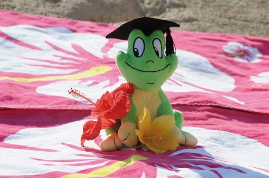 Плюшевый лягушонок FREDDY - FREDS SWIM ACADEMY