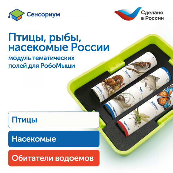 MS0102/4 Модуль "Птицы, рыбы, насекомые России"