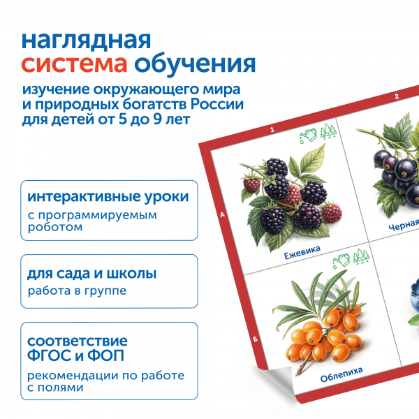 MS0102/2 Модуль "Овощи, фрукты, ягоды России"