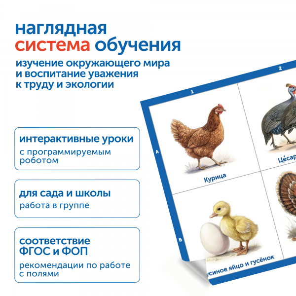 MS0105 Модуль "Наше сельское хозяйство. Домашние животные и птицы"
