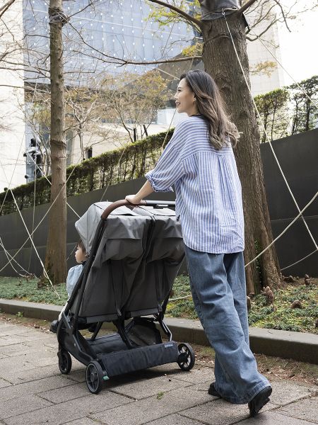 Коляска для двойни UPPAbaby MINU DUO GREYSON - UPPAbaby