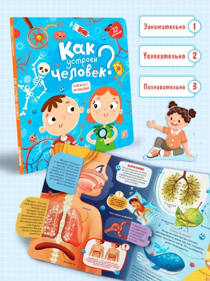 Книжка с окошками Как устроен человек? Анатомия Энциклопедия для детей - Malamalama