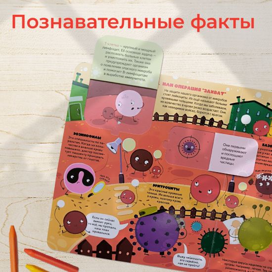 Книжка с окошками Вирусы и бактерии. Что мы знаем о них? Энциклопедия для детей - Malamalama