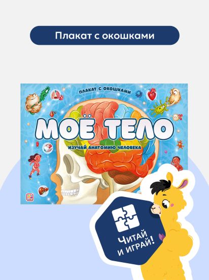 Книжка с окошками "Анатомия Мое тело" для детей от Malamalama - Malamalama