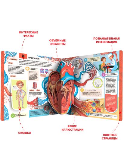 Энциклопедия открытий Анатомия Книга для детей Malamalama - Malamalama