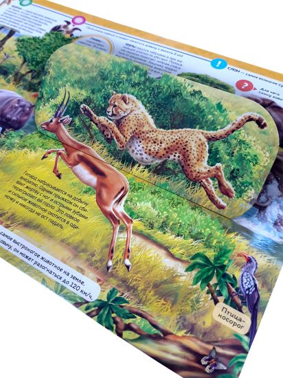 Энциклопедия открытий Животные Malamalama - Malamalama