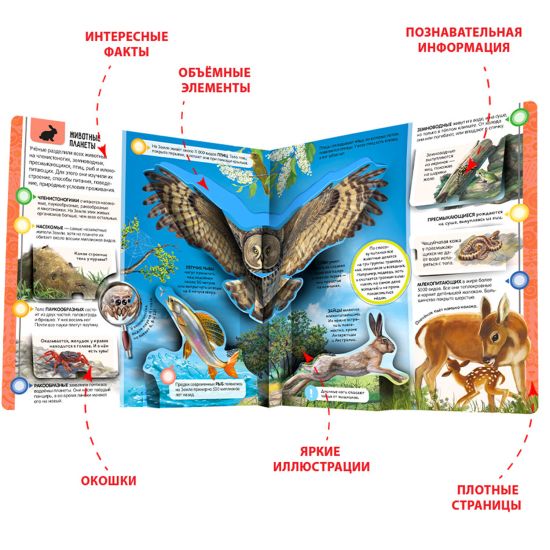 Книга Malamalama Энциклопедия открытий Планета Земля для детей - Malamalama