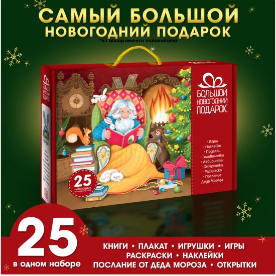 Новогодние подарочный набор для детей. книги в наборе 25 шт подарок - Malamalama