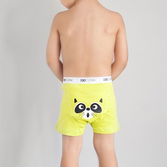 Трусы для мальчиков (2-3) Zoocchini Orange - Zoocchini