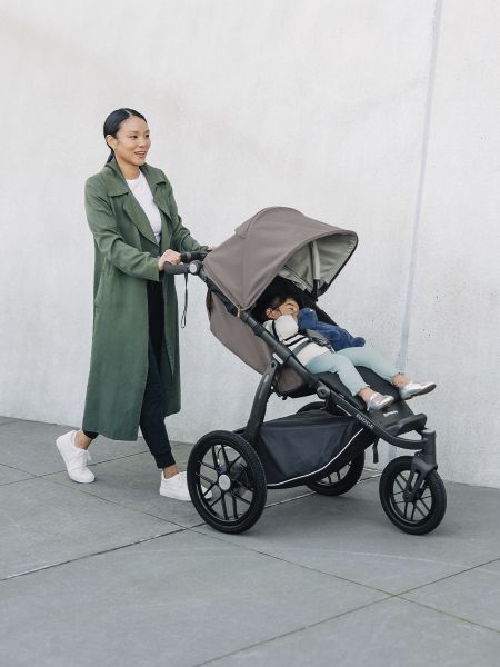 Коляска прогулочная UPPAbaby RIDGE Theo - UPPAbaby