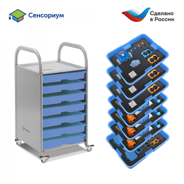 MS0099 Безэкранное программирование с роботом Ботли