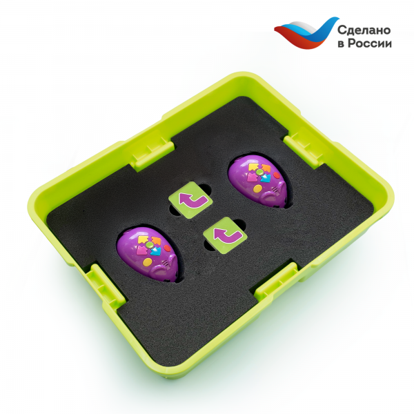 MS0095 Мышиный код с карточками (2 робота)