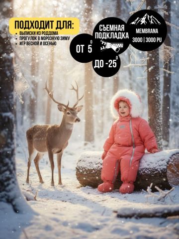 Комбинезон-конверт "трансформер", Фруктовый, 163ШМ/2 - MaLeK BaBy