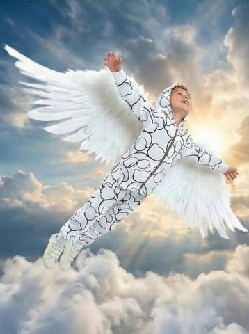 Худи дракончик, Футер, Мишки на белом,  арт. 704Ф - Damodara