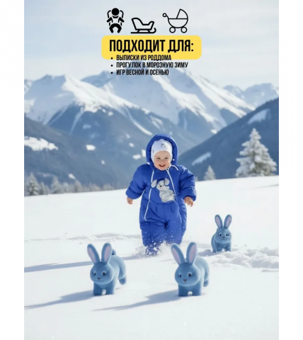 Комбинезон-конверт "трансформер", Василек, арт. 147шм - MaLeK BaBy