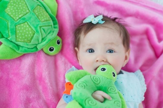 Погремушка Zoocchini Черепашка - Zoocchini