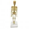 Исследовательский набор Скелет человека - ND PLAY