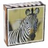 Кубики пластмассовые «Животные Африки», 9 штук