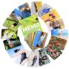 Мемо "Пернатый мир" 50 карточек - Нескучные Игры