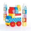 Конструктор DOLU Mega blocks 25 дет.