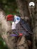 Картонный 3D пазл конструктор Makebug Voice of Nature - Makebug