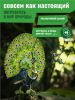 Картонный 3D пазл конструктор Makebug Voice of Nature - Makebug