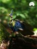 Картонный 3D пазл конструктор Makebug Voice of Nature - Makebug