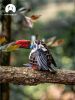 Картонный 3D пазл конструктор Makebug Voice of Nature - Makebug