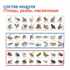 Природные богатства России с РобоМышью (без системы хранения)