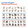Природные богатства России с РобоМышью (с системой хранения)