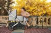 Коляска прогулочная UPPAbaby Cruz V2 STELLA - UPPAbaby