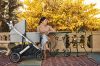 Коляска прогулочная UPPAbaby Cruz V2 STELLA - UPPAbaby