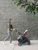 Коляска прогулочная UPPAbaby Cruz V2 LUCY - UPPAbaby