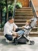 Коляска прогулочная UPPAbaby MINU V2 STELLA - UPPAbaby