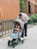 Коляска прогулочная UPPAbaby MINU V2 STELLA - UPPAbaby
