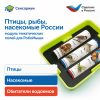 MS0102/4 Модуль "Птицы, рыбы, насекомые России"