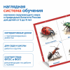 MS0102/4 Модуль "Птицы, рыбы, насекомые России"