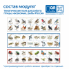 MS0102/4 Модуль "Птицы, рыбы, насекомые России"
