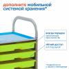 MS0102/4 Модуль "Птицы, рыбы, насекомые России"