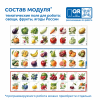 MS0102/2 Модуль "Овощи, фрукты, ягоды России"