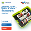 MS0102/1 Модуль "Деревья, цветы, грибы России"