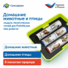 MS0105 Модуль "Наше сельское хозяйство. Домашние животные и птицы"