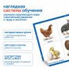 MS0105 Модуль "Наше сельское хозяйство. Домашние животные и птицы"