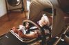 Коляска 2в1 UPPAbaby VISTA V2 STELLA - UPPAbaby